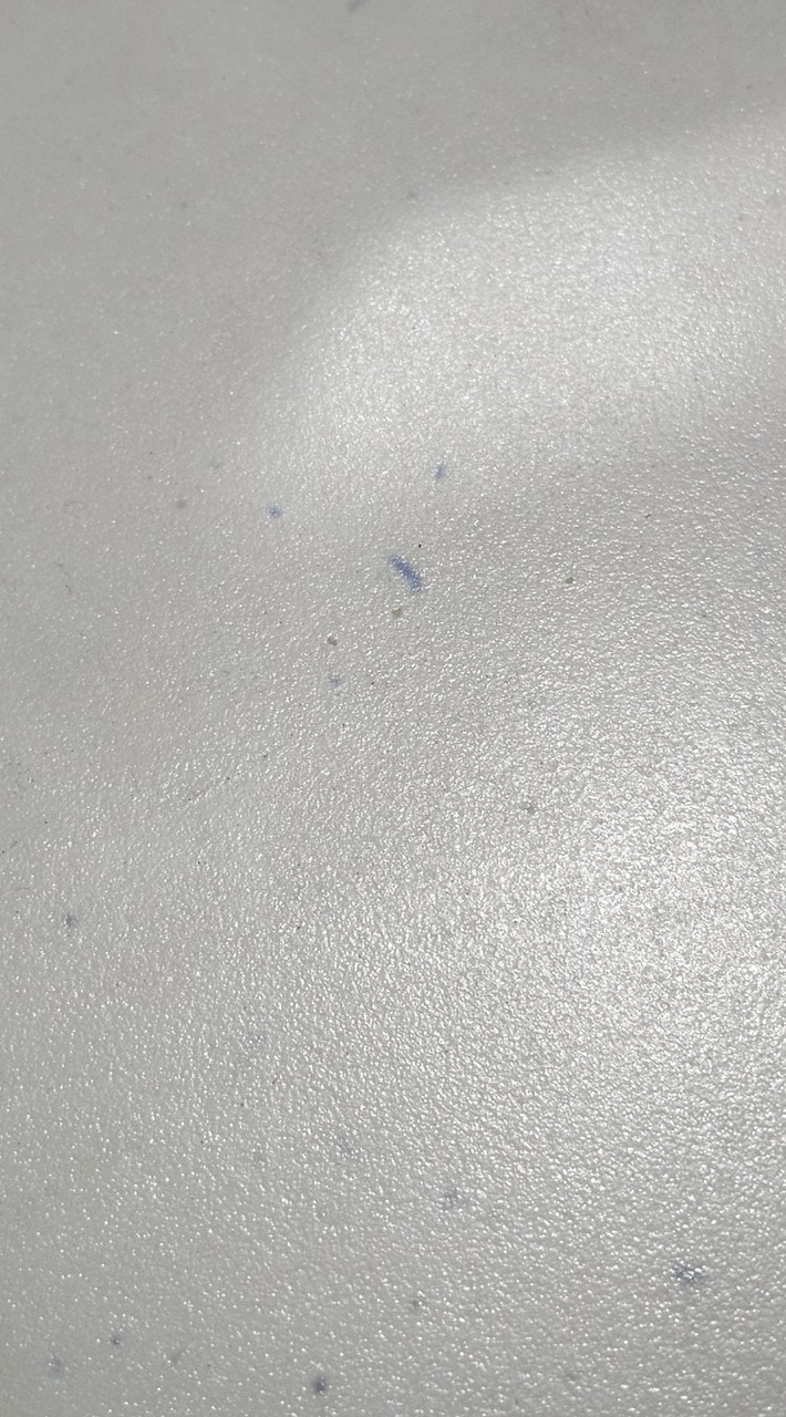 老楊的學習影片