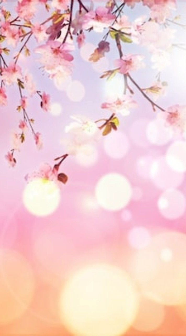 エイジレスのための美習慣オンラインサロン·ハートツリー