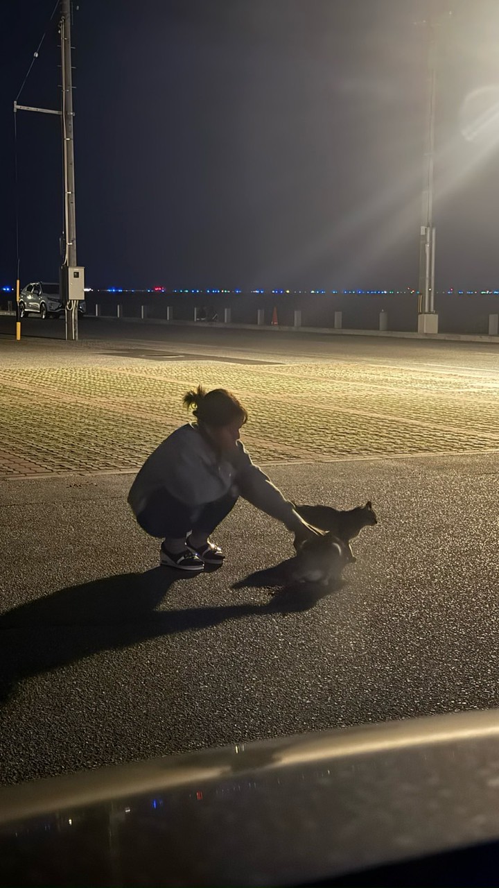 ✨️ﾁﾉﾝ🥀応援隊✨️