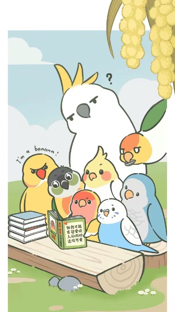 七小鸚姊姊🐦鸚鵡團購、鳥寶分享交流