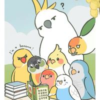 七小鸚姊姊🐦鸚鵡團購、鳥寶分享交流