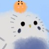 寝落ちのもかちゅうオプチャ