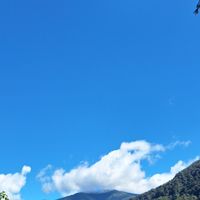 吃出健康