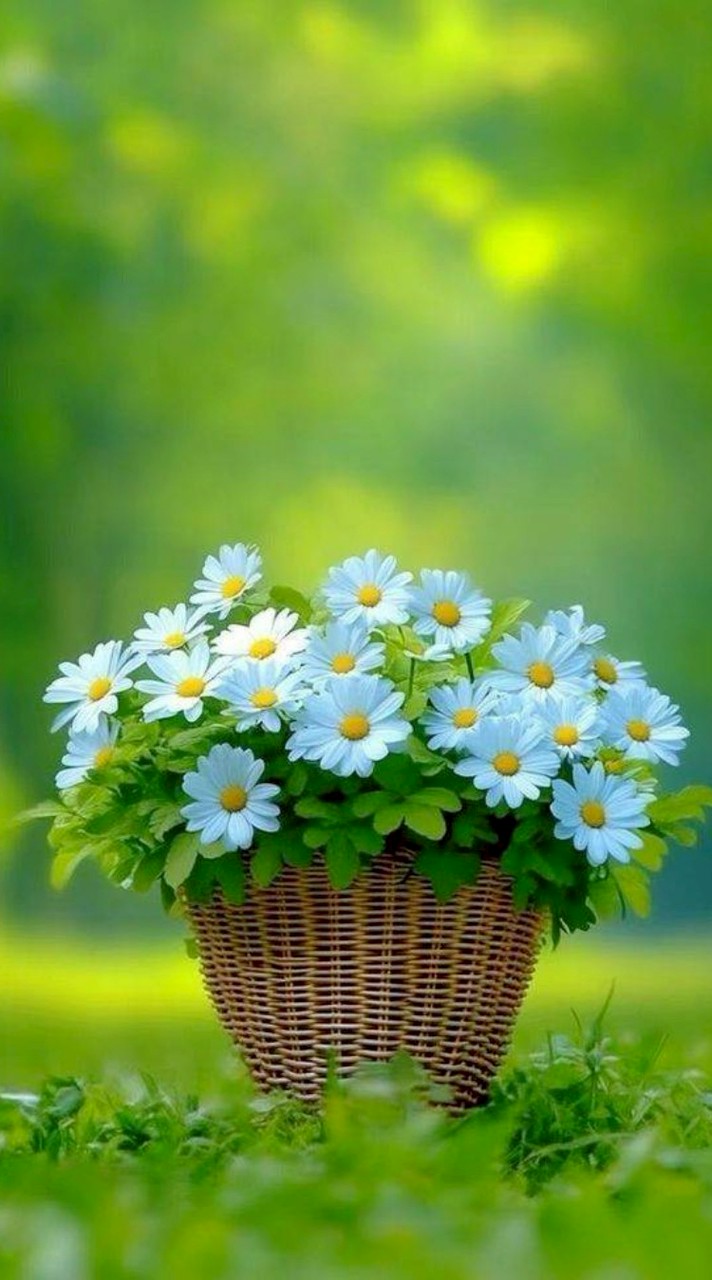 20+30+40++เหงาๆเข้ามาคุยกัน