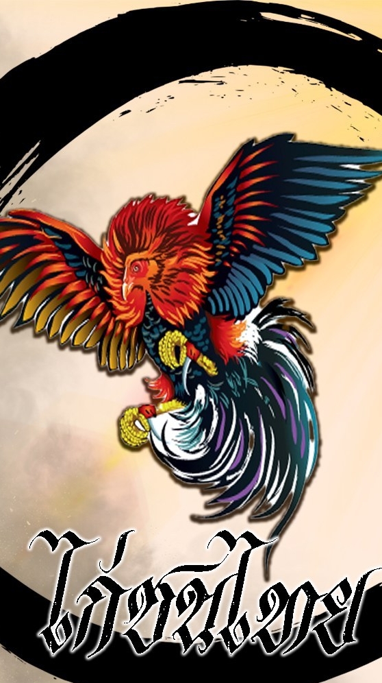 ไก่ชน นัมเบอร์วัน