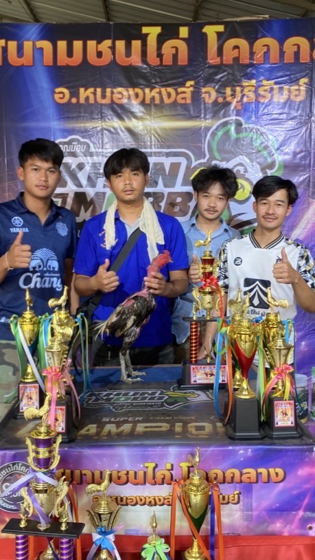 ก้องเจริญฟาร์ม พม่าแข้งใบมีด