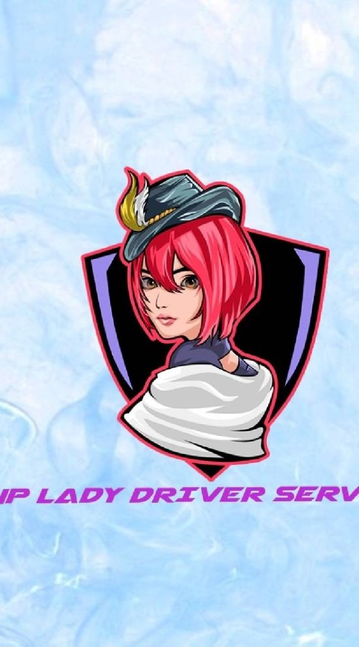 NP DRIVER SERVICE