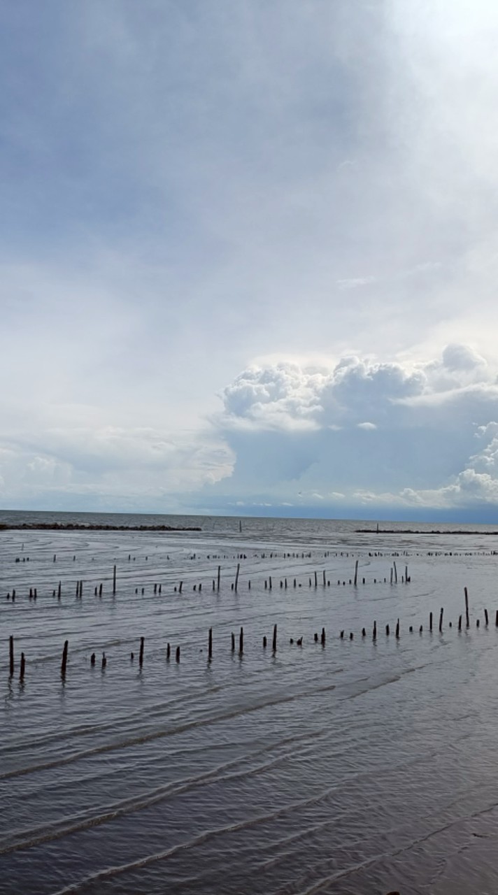 คณิต ม.1.2 ปี 68