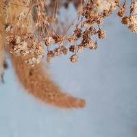 Nia老師中和美術教室