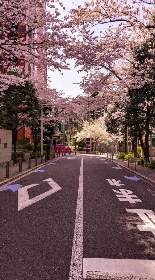 เมืองเกียวโตのオープンチャット