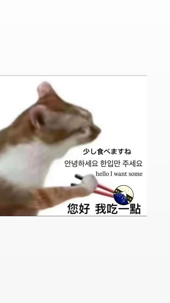 屏大應日114新生群