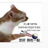 屏大應日114新生群