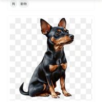全台迷你杜賓分享聊天群