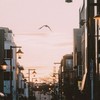 EABO城市.𝙵𝚕𝚘𝚛𝚊𝚗𝚣𝚊