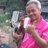 คนบ้าไก่ชน คนบ้าไก่ ไก่บ้าตี ไก่จะดีมันเป็นศาสตร์ศิลป์(ครูกบครับ)