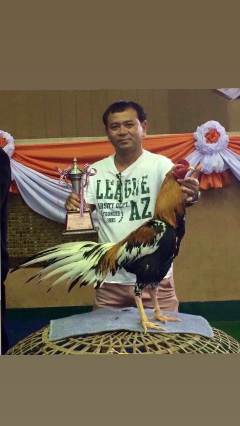 อนุรักษ์ไก่สวยงามสายประกวด