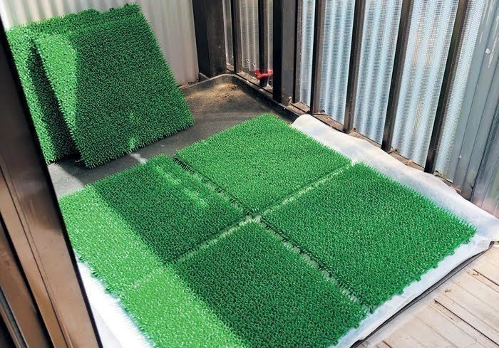 愛犬の 排泄のクセ にあわせたトイレの工夫を拝見 いぬのきもちnews