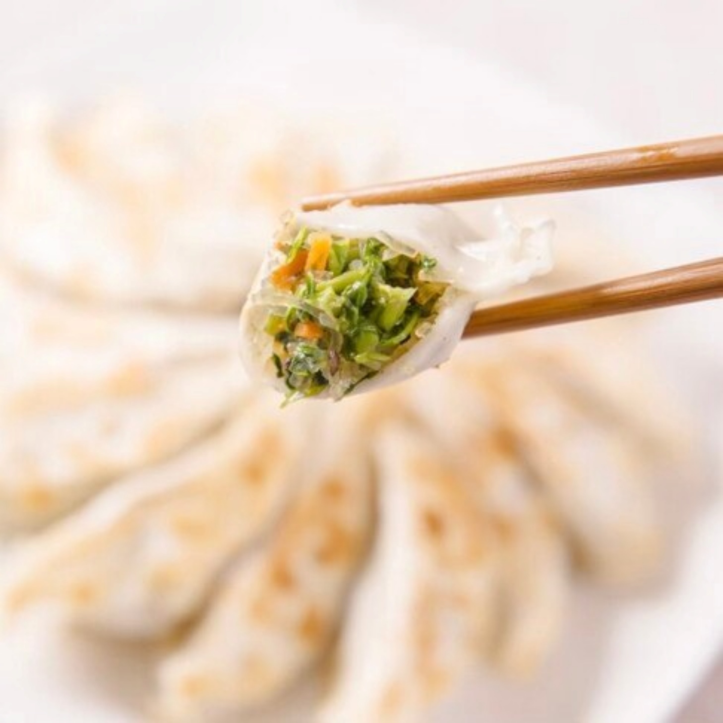 上頂皇家素食水餃 雪裏紅素食鍋貼