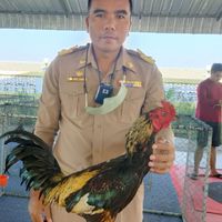 สท ต.รุ่งเรือง