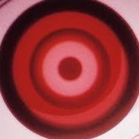 神【GOD】ワンピースカード