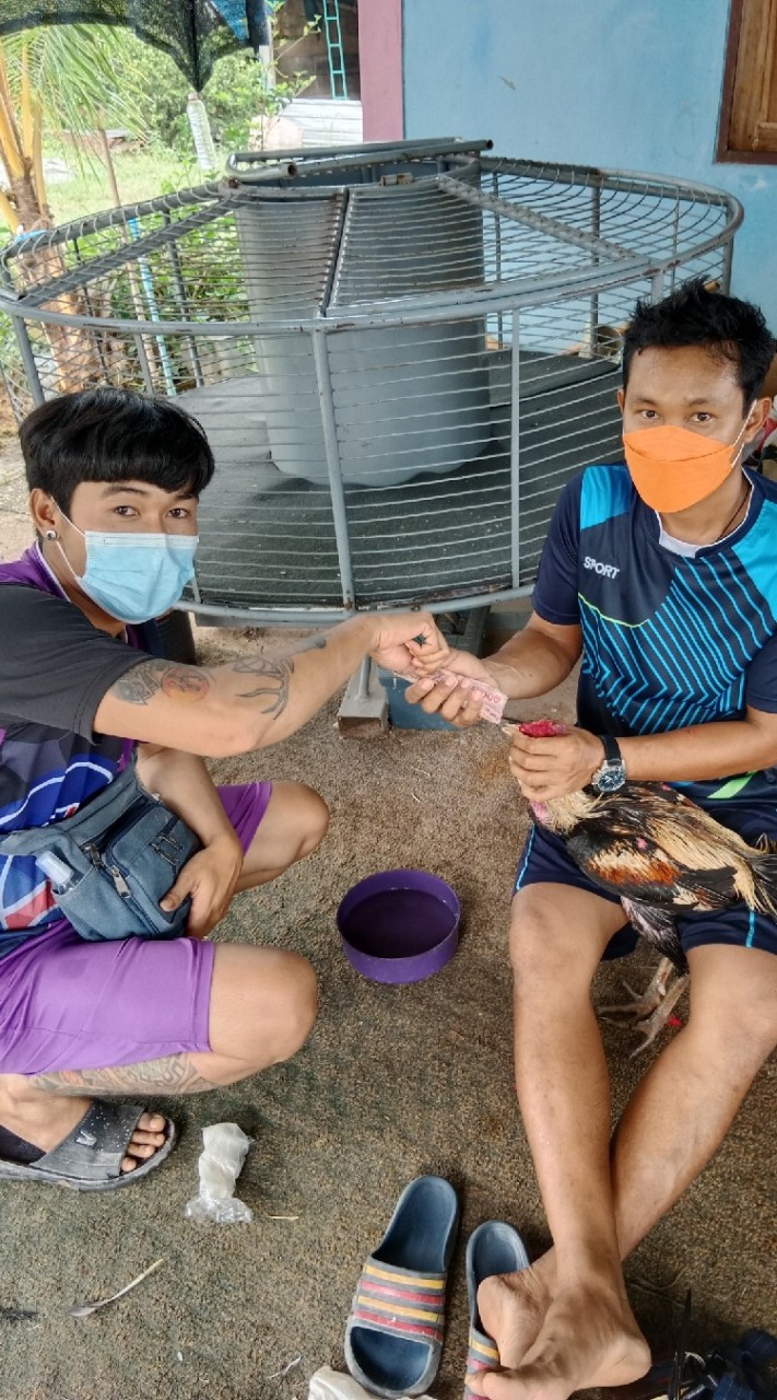 ซุ้ม ธุระกิจ ฟาร์ม ( สายเลือด จ้ามจอม + RS )