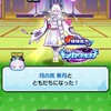 ぷにぷに攻略お助け&雑談部屋!