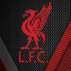ใจหงส์(Liverpool)