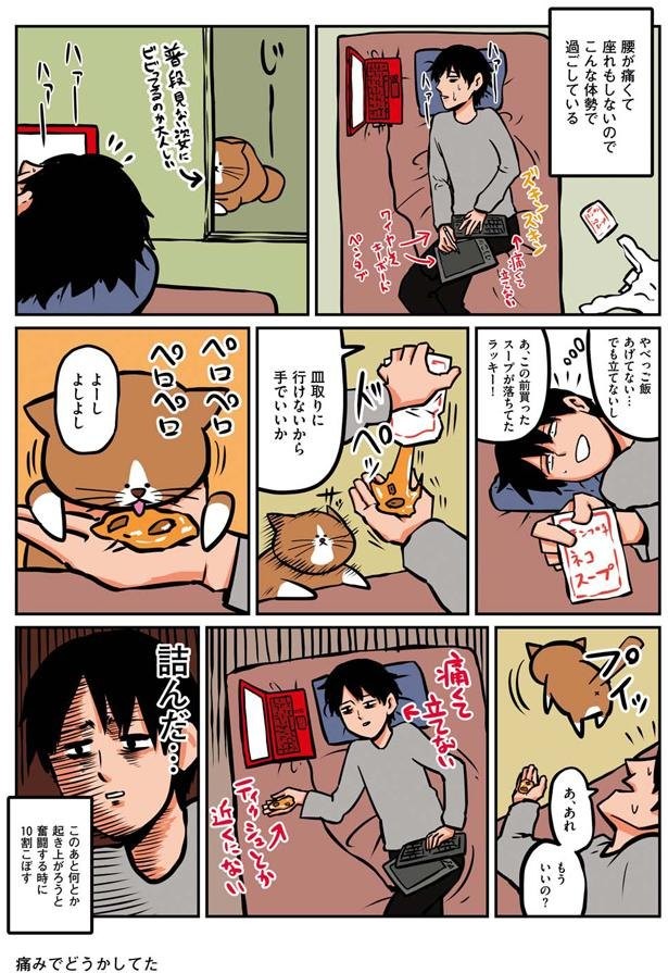 腰痛で詰んだ 鴻池剛と猫のぽんた 4