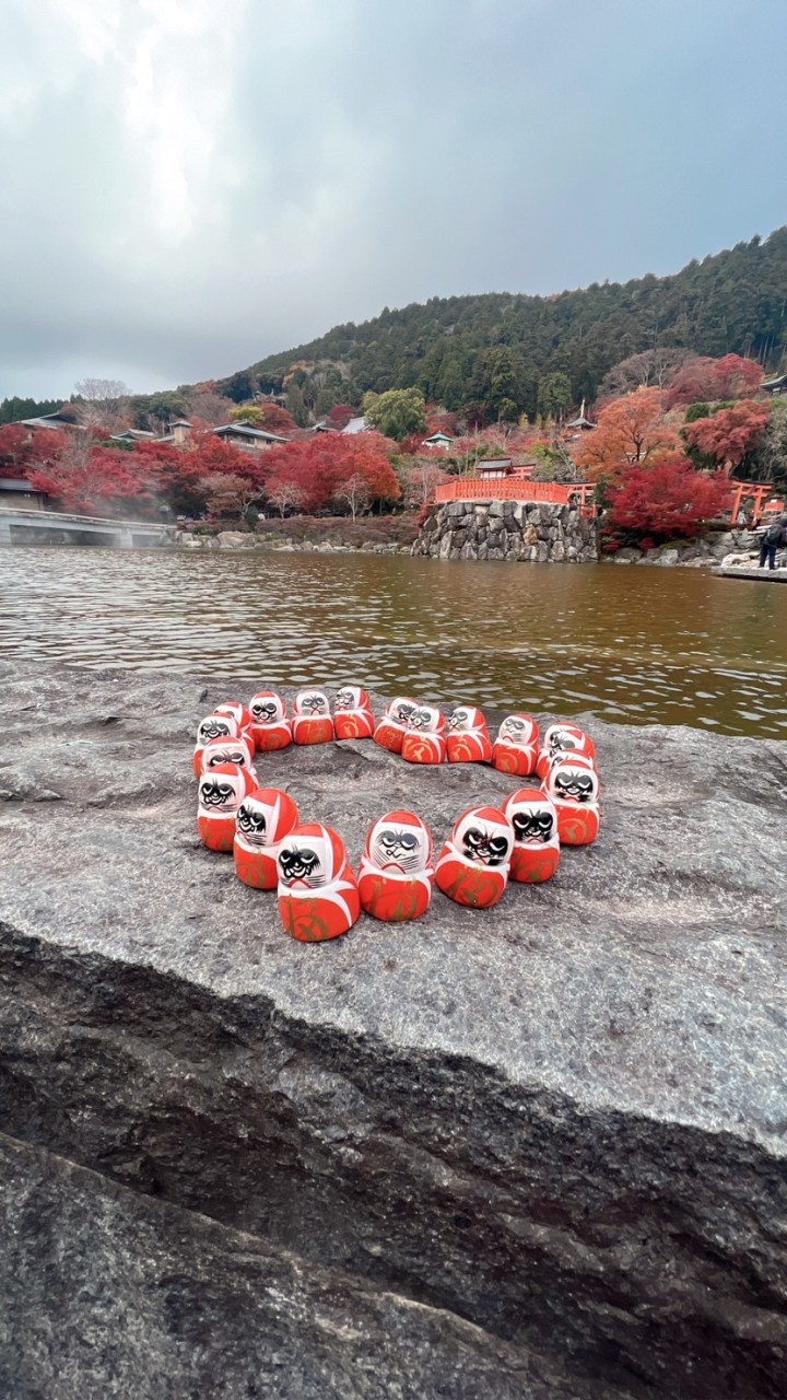 なつきNai貴婦團日本🇯🇵