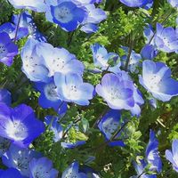 麻痺があっても楽しい人生♡(40歳以上)