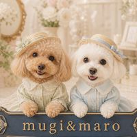 うちのコ自慢オプチャ💞あいか