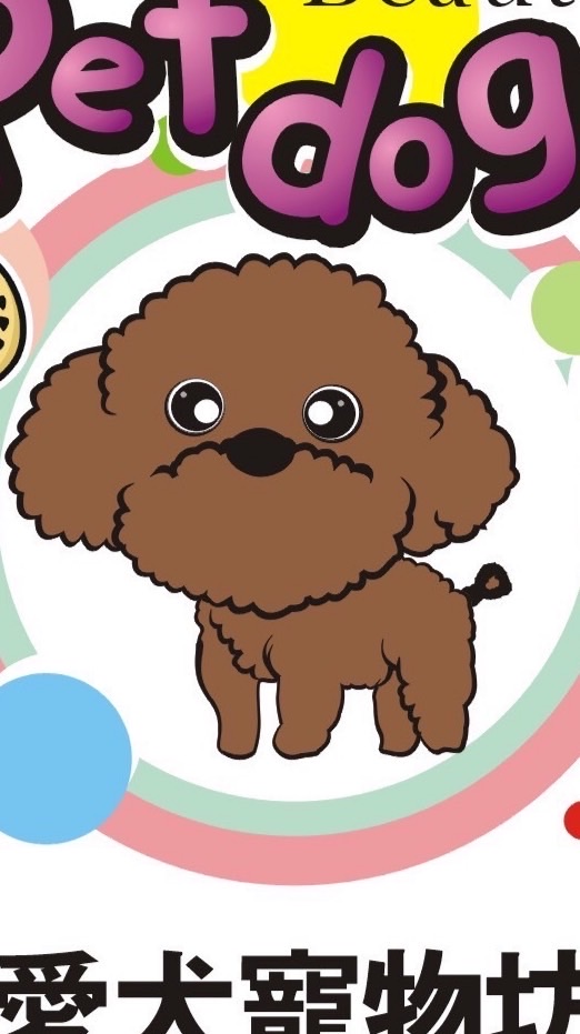 愛犬寵物