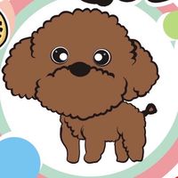 愛犬寵物