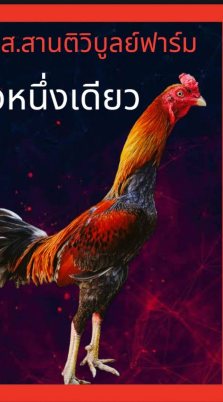 ส.สานติวิบูลย์ฟาร์ม