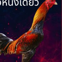 ส.สานติวิบูลย์ฟาร์ม