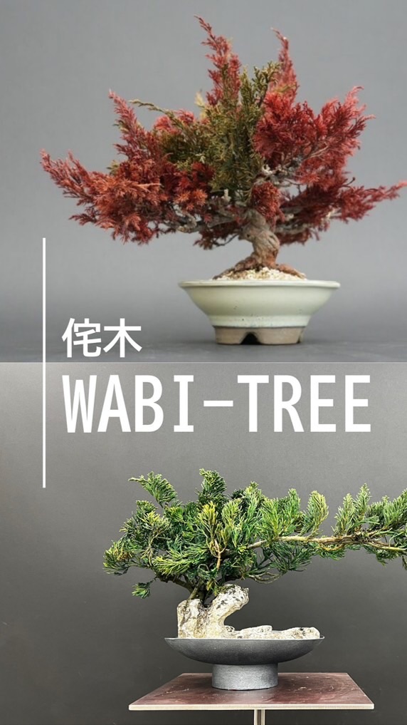 侘木WABI-TREE🎍