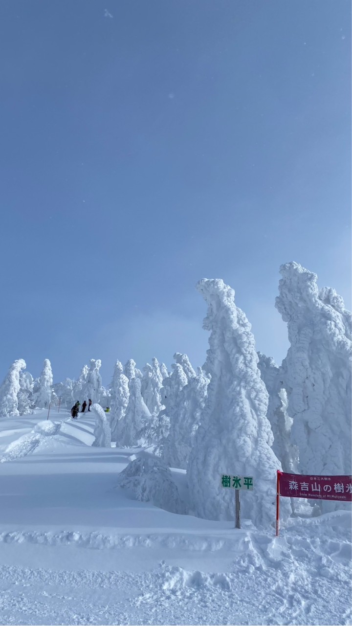 秋田スノーボーダーの会❄️