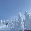 秋田スノーボーダーの会❄️