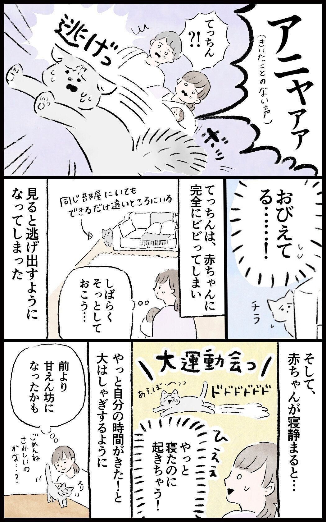 猫と赤ちゃん はじめての対面 小玉なこ