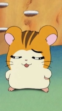 5/7 びなんし招待🐹🩵