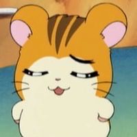 5/7 びなんし招待🐹🩵