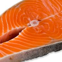 海釣鮮魚料理達人