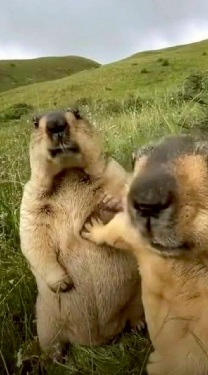 นั่นแน่โดนป้ายยาอะดิ