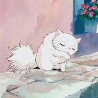 阿里巴巴 1688/拼多多/鹹魚 代付
