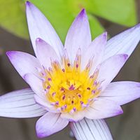 岡山團拍之助拍社群