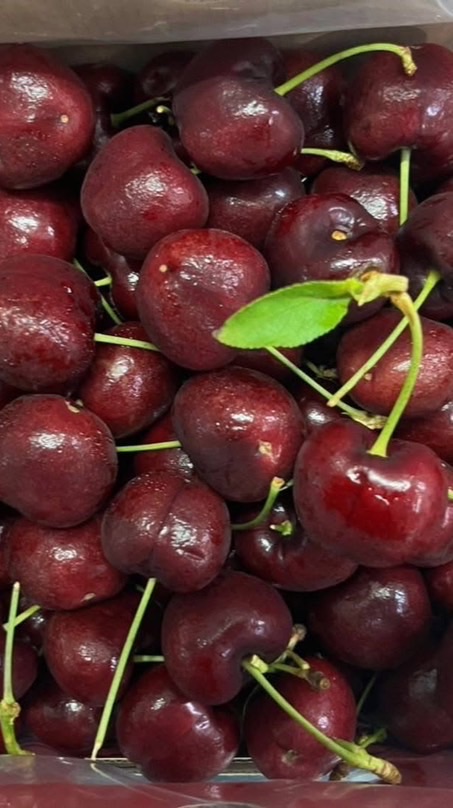 เจ๊จูล ผลไม้นานาชาติ