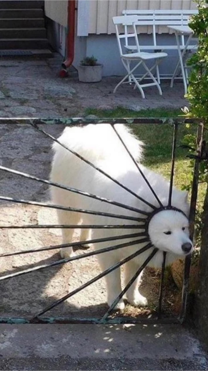 羽貓球同好會