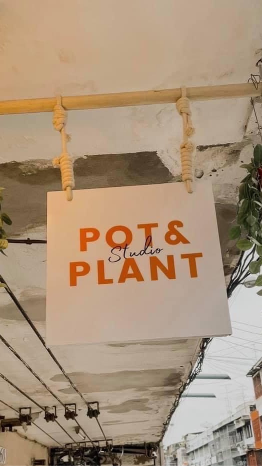 POT&PLANT - ตัวแทนจำหน่ายต้นไม้และกระถาง