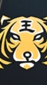 王國Kingdom-FBI公會交流群