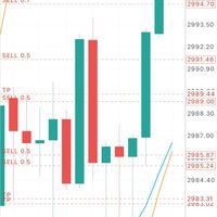 มือใหม่หัดเทรด Forex